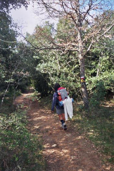 Peregrina camino de Luquin
