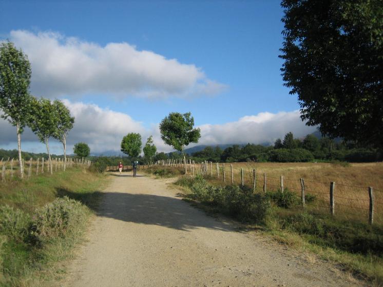 Hermoso día en el Camino