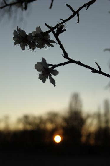 Atardecer junto al canal